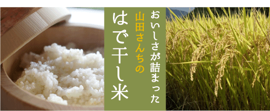 おいしさが詰まった山田さんちのはで干し米